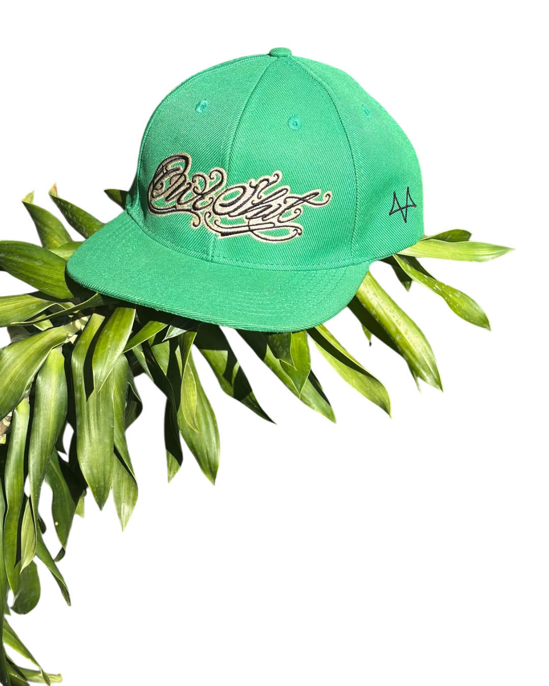Boné StrapBack Verde OWLSHIT