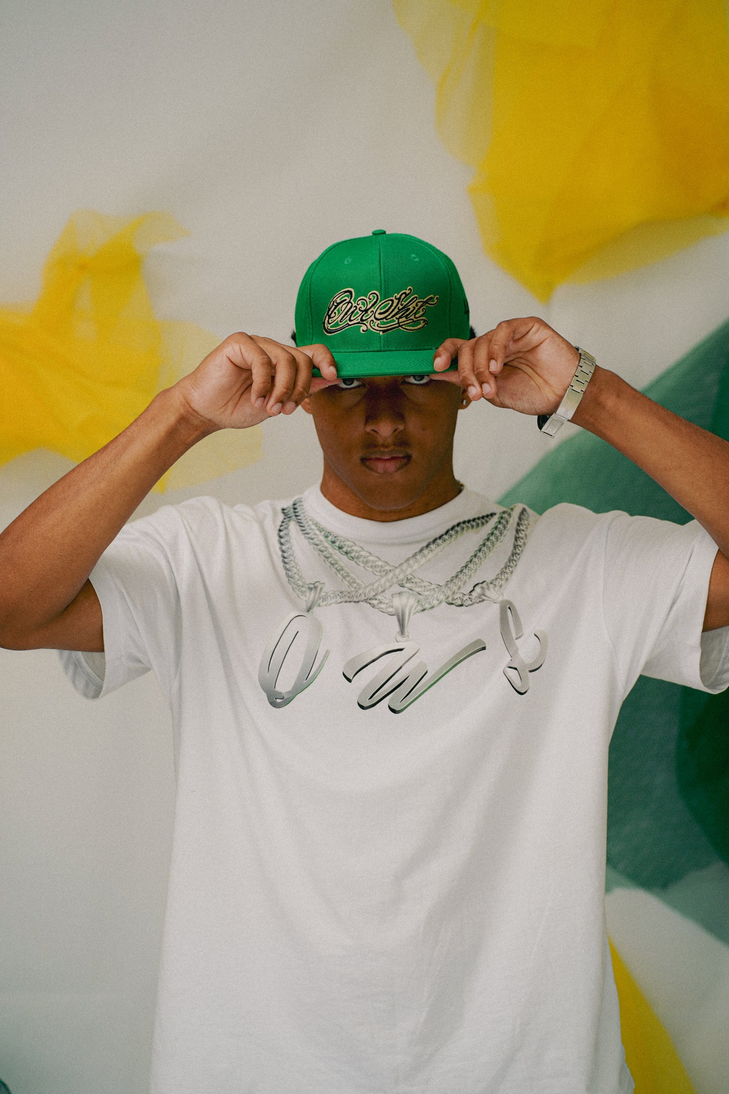 Boné StrapBack Verde OWLSHIT